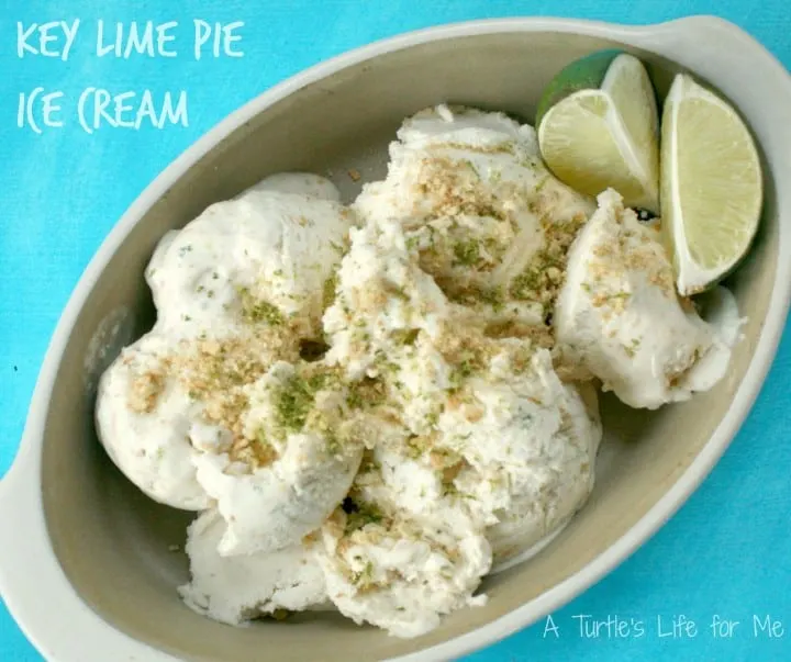 key lime pie ice cream pillow