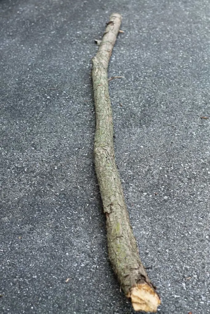 log before