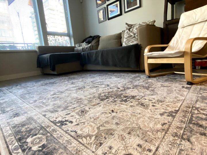 Ruggable Review Completely Honest Not, Are Ruggable Rugs Good For Outdoors